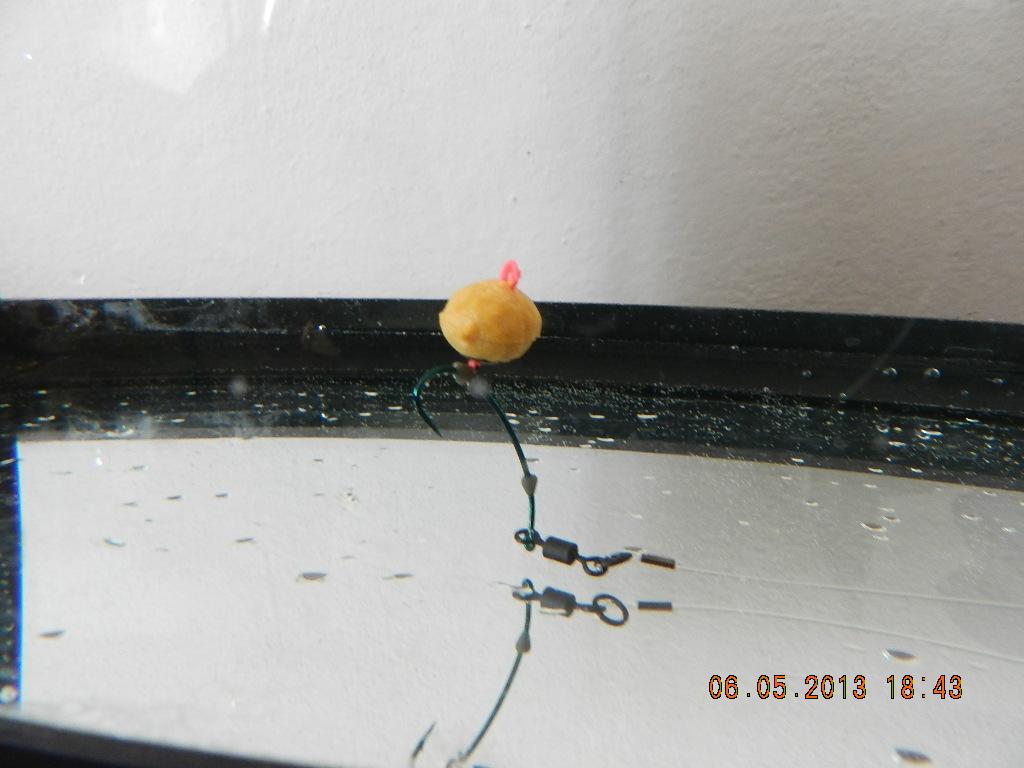 rig& baits !! - dscn1350.JPG